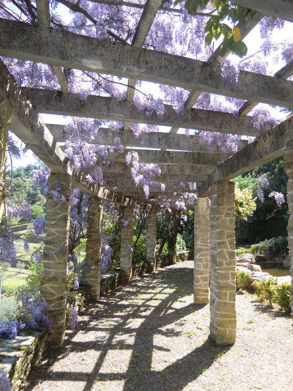 Quinta Das Aveleiras Torre De Moncorvo Exterior photo